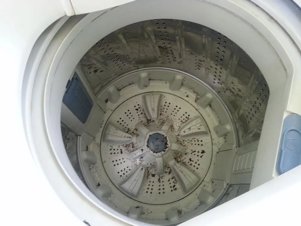 Máy giặt bẩn sau thời gian dài không vệ sinh
