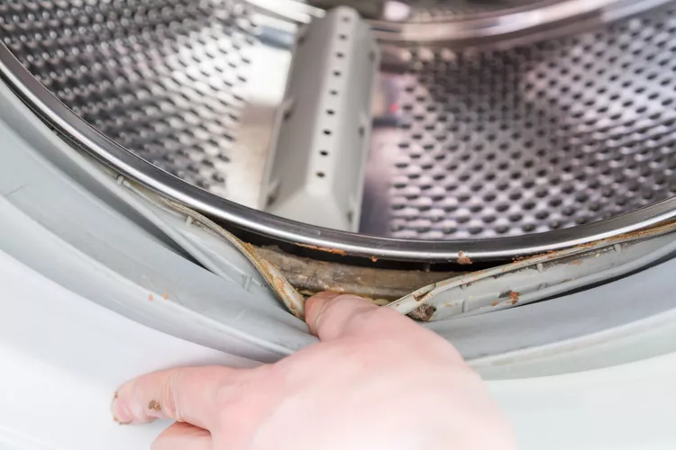 Tại sao máy giặt có mùi hôi? Cách khử mùi hôi máy giặt hiệu quả