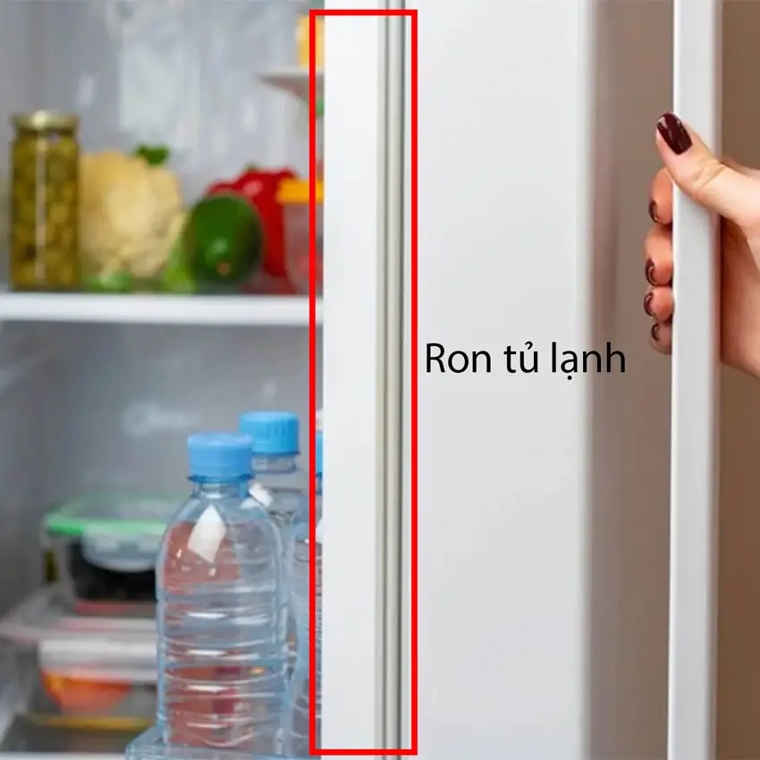 Cách kiểm tra ron tủ lạnh không hít tại nhà chỉ với tờ giấy