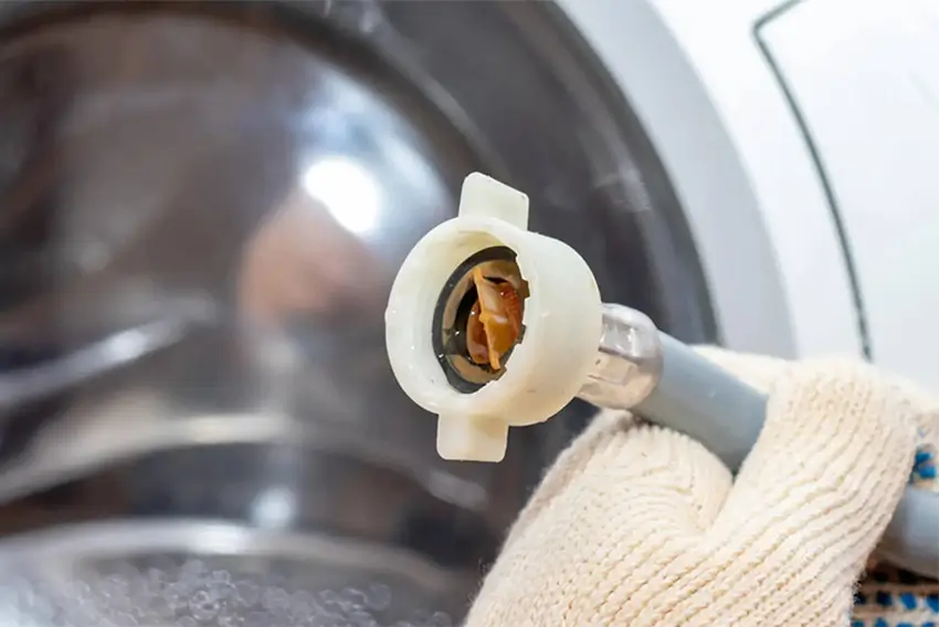 Nhiệm vụ của lưới lọc van cấp nước máy giặt