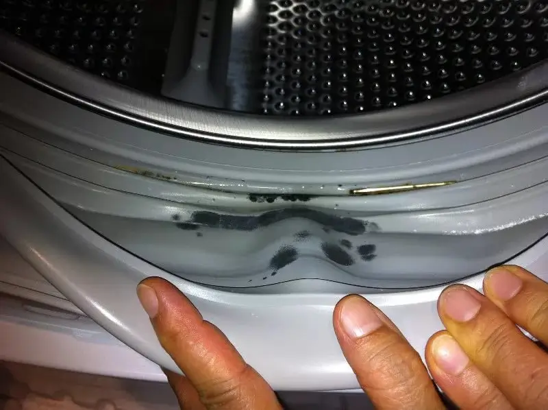 Vì sao gioăng cao su máy giặt Electrolux dễ bị mốc đen?