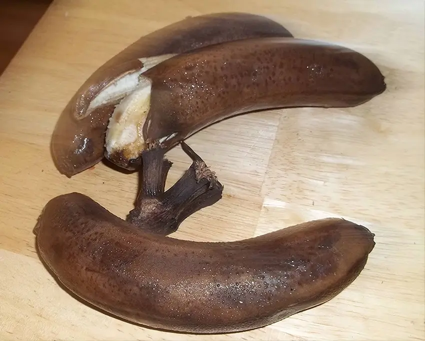 Chuối bị thâm đen nghiêm trọng do để chuối trong tủ lạnh quá lâu